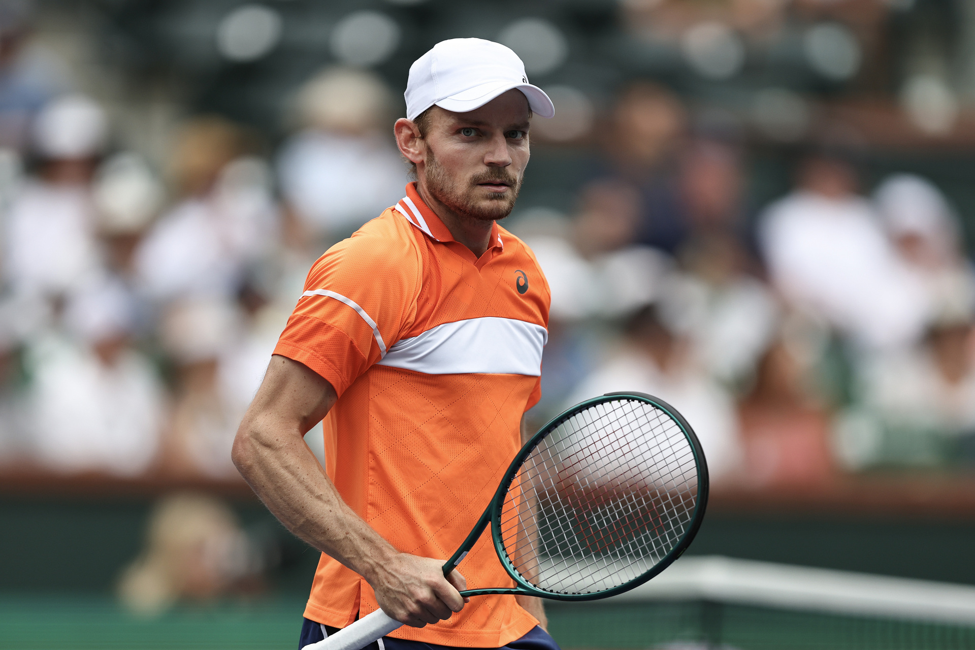 包含德国网球队翻盘英国网球队，穆雷高光表现的词条