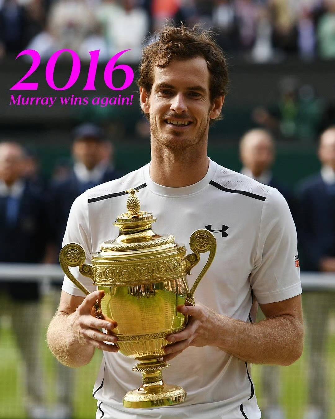 包含温网横扫澳网，穆雷惊艳四座的词条