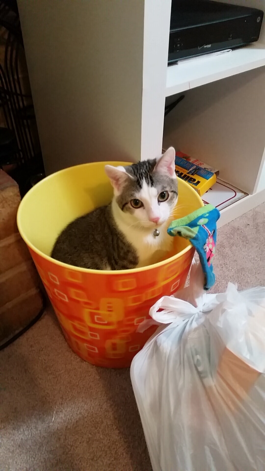 爱游戏大厅-赤道风暴对决太极虎 思维烈焰燃爆雅加达 印尼队鏖战韩国队之战记