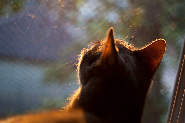 爱游戏官方-绝杀与传奇，拜仁终场逆转曼联，卡瓦哈尔刷新欧冠纪录的震撼之夜