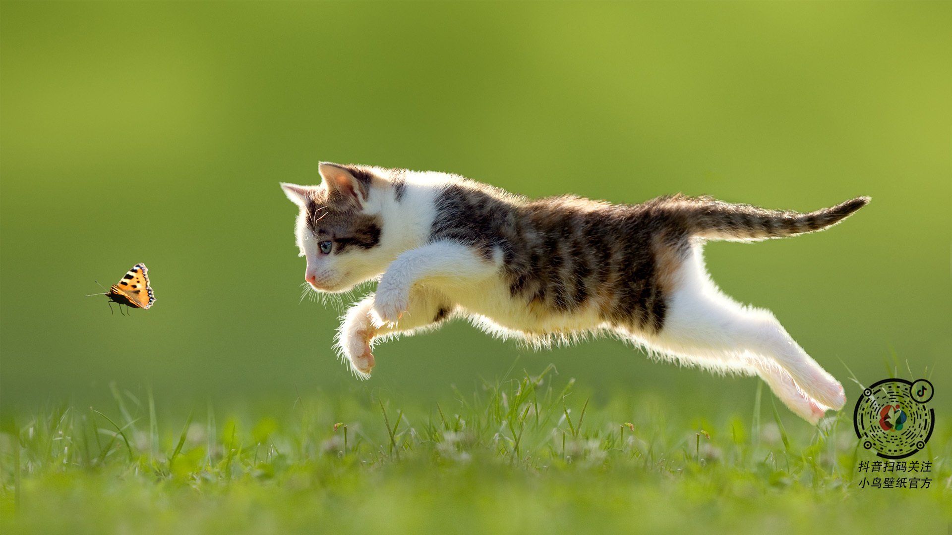 爱游戏大厅-格纳布里，闪击北美夜空的日耳曼流星