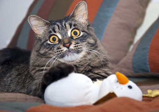 爱游戏APP-末节风暴，奥亚尔萨瓦尔的19分钟奇迹，如何将波兰从悬崖边拽回？