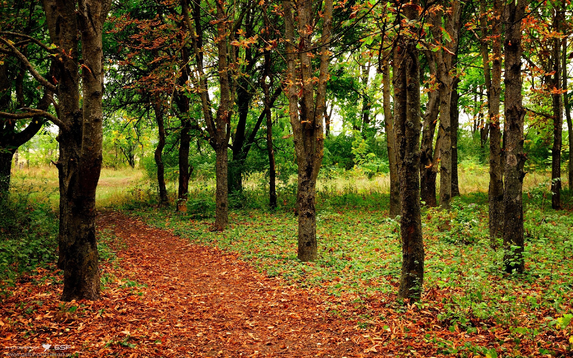 擎天神柱，锡安生涯之夜击穿活塞防线，篮网叹息成背景音