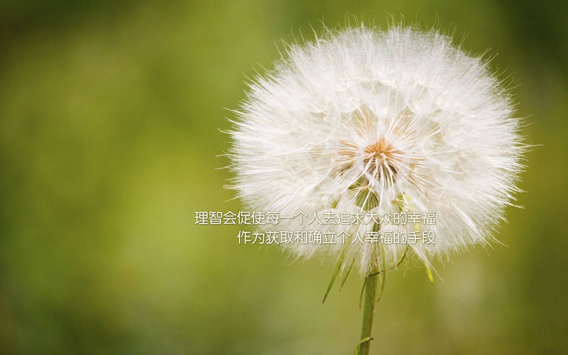 北欧神话的序章，当蓝黄闪电撕裂三狮军团—迪亚斯在2026世界杯的加冕之战