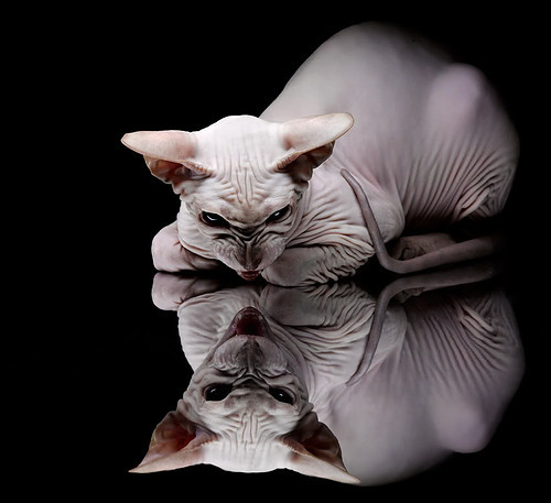 尘封的里程碑，佛罗伦萨的暮色中，卡塞米罗完成200场静默加冕