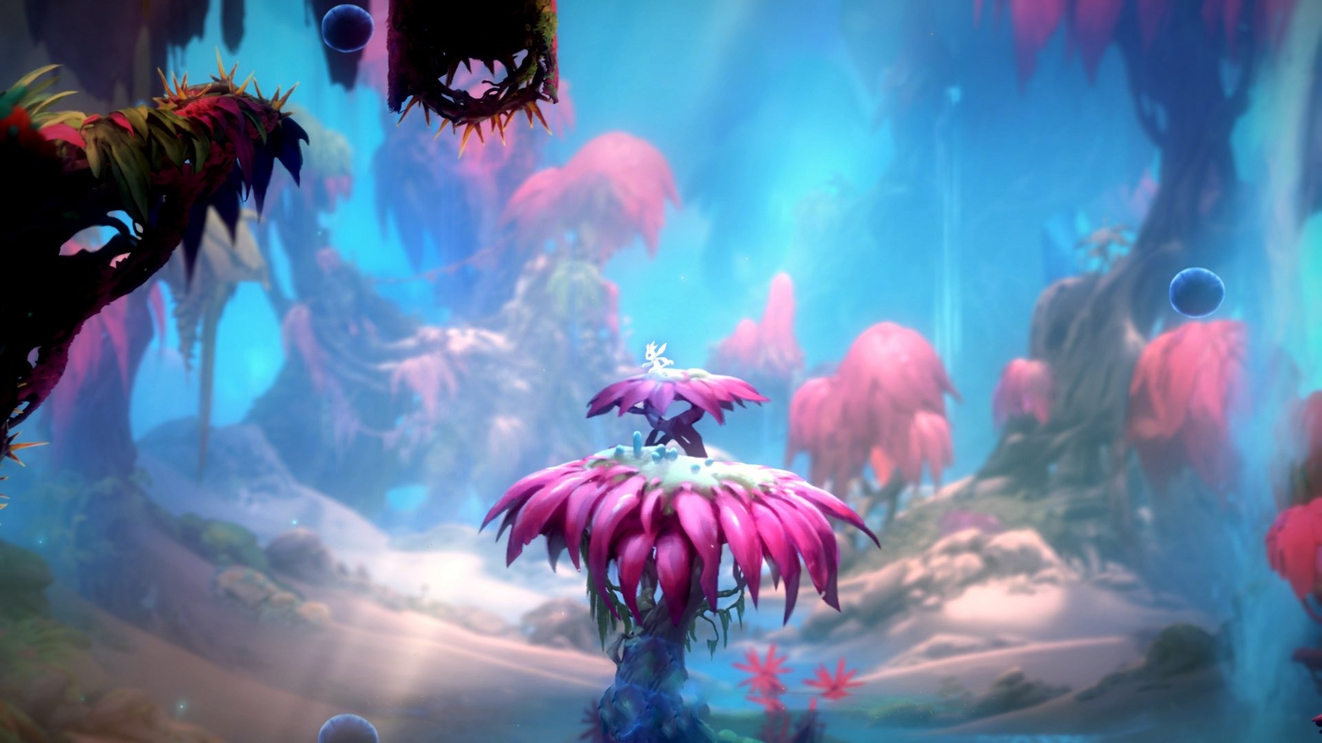 北大西洋的冷焰,在世界的边缘,点燃冠军的唯一性