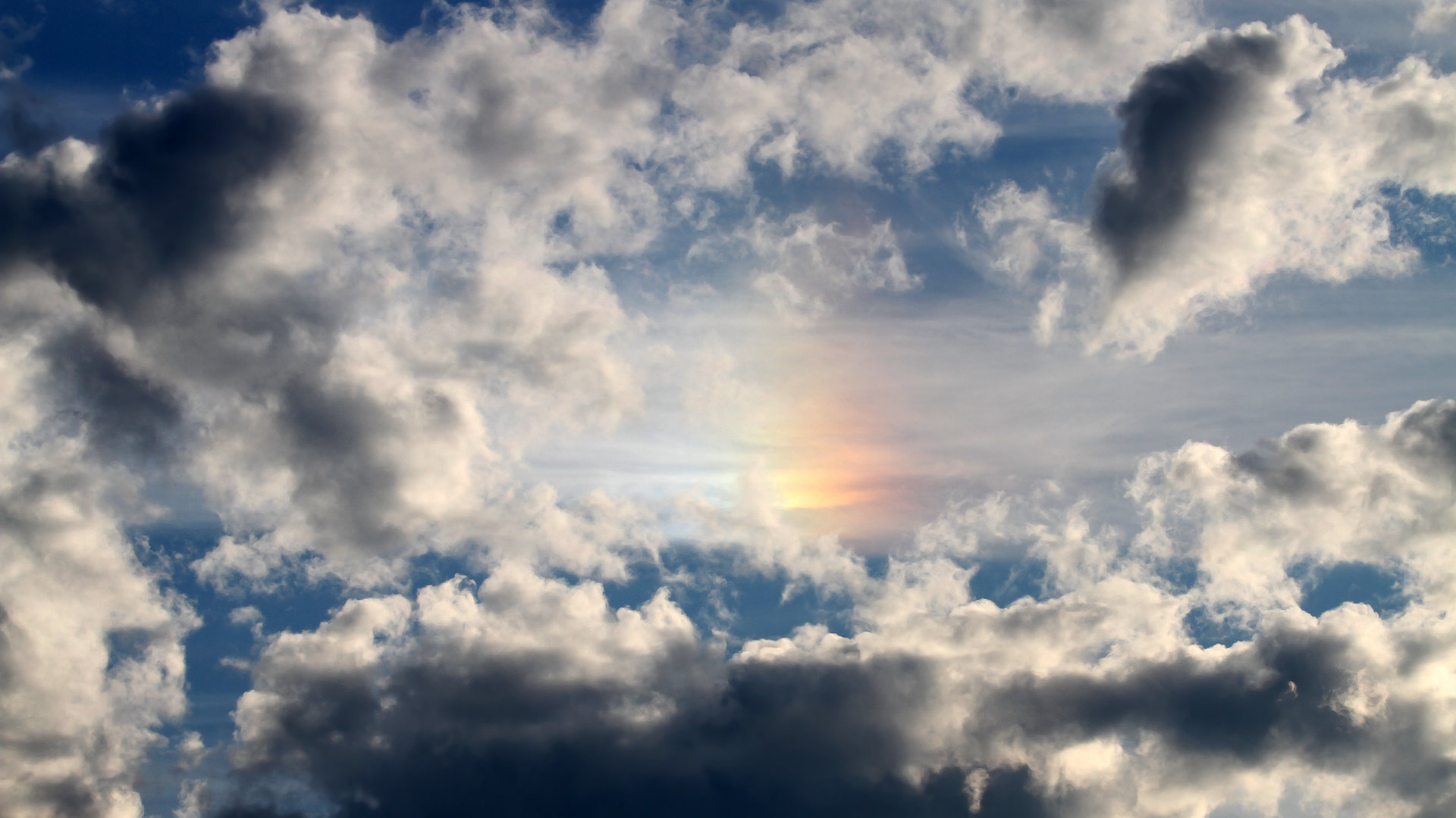 双线胜利,快船击溃太阳,福克斯欧冠封神