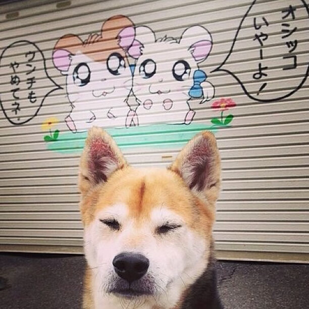 爱游戏在线-双重王冠，萨克拉门托的团队加冕与勒布朗的关键时刻