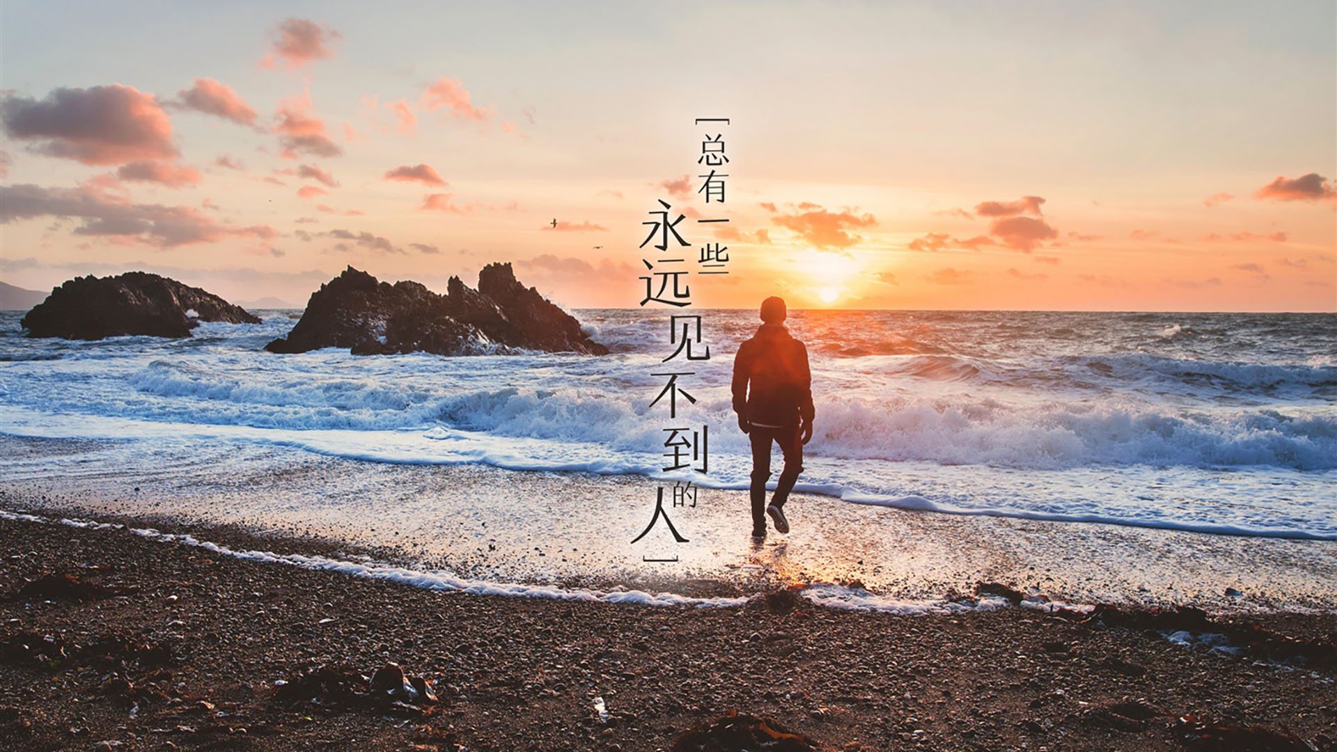 当西亚卡姆化身无解之谜,森林狼式的团队胜利哲学