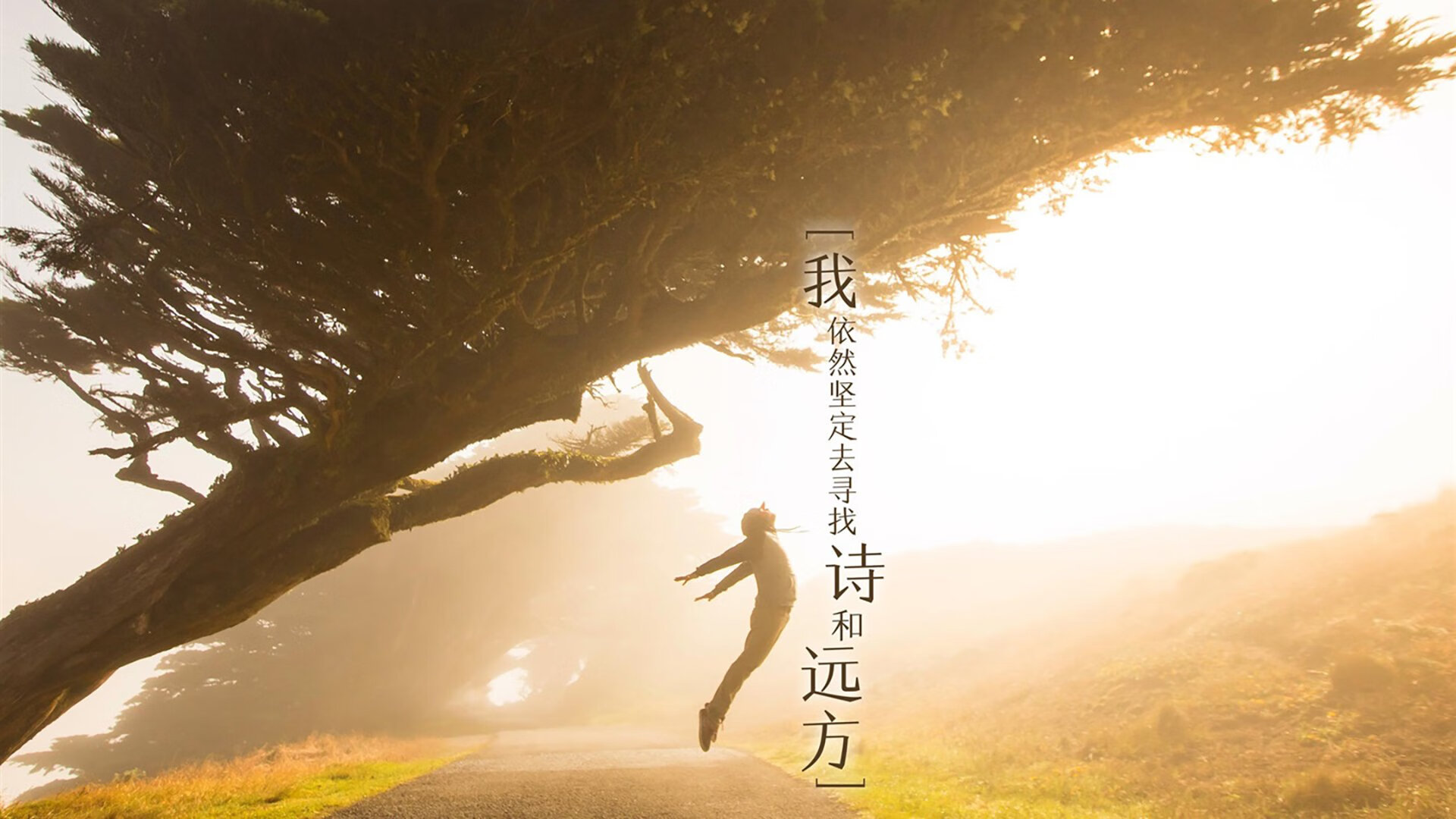 爱游戏在线-记忆交错与平行宇宙，当掘金斩落公牛，英格拉姆在季后赛接管比赛