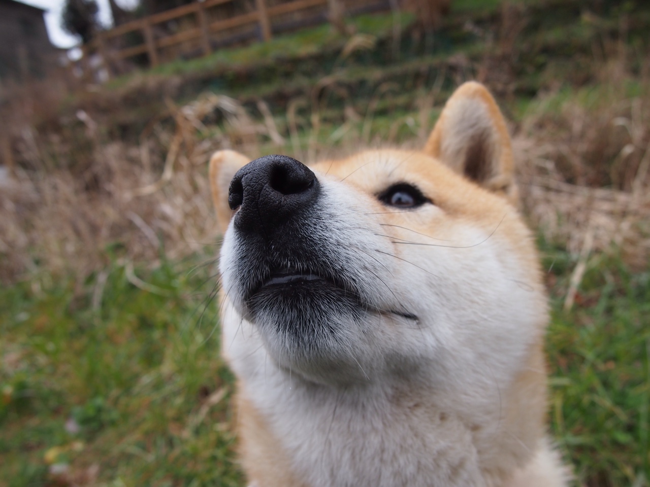 爱游戏娱乐-颠覆性对局，当NBA总决赛的极致焦点，遇见中国淘汰荷兰的史诗之战