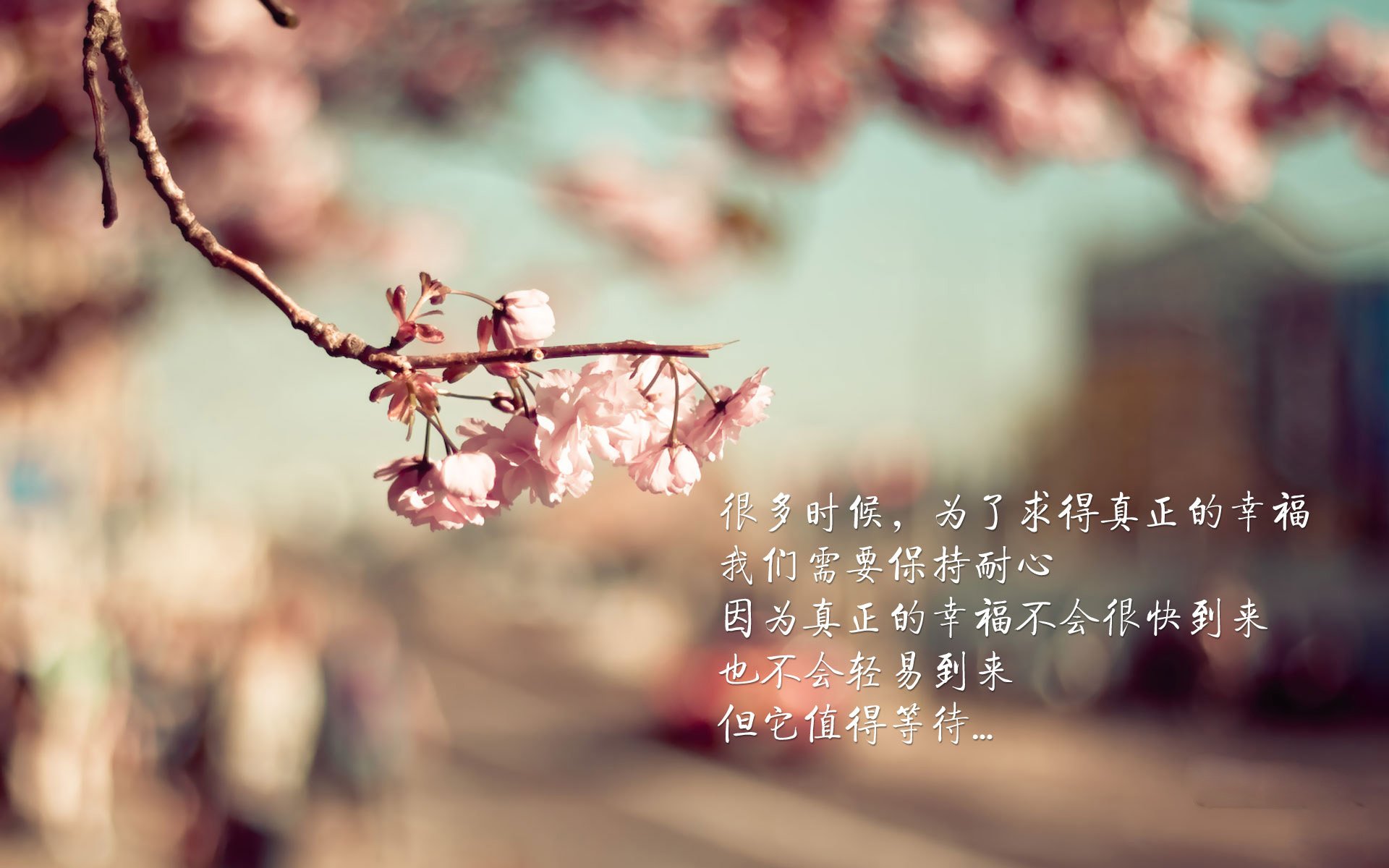 下一秒，改变一切，2026世界杯揭幕战上，贝林厄姆的致命一击如何让哥伦比亚大胜挪威成为传奇