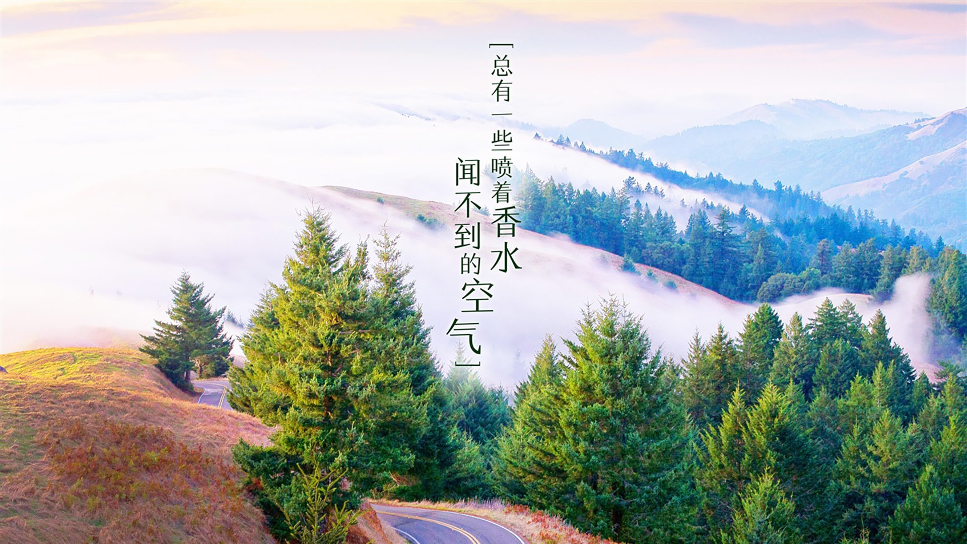 曼谷奇迹之夜,当格列兹曼的灵魂附体,让德意志战车在2026年F组血色黄昏中崩盘