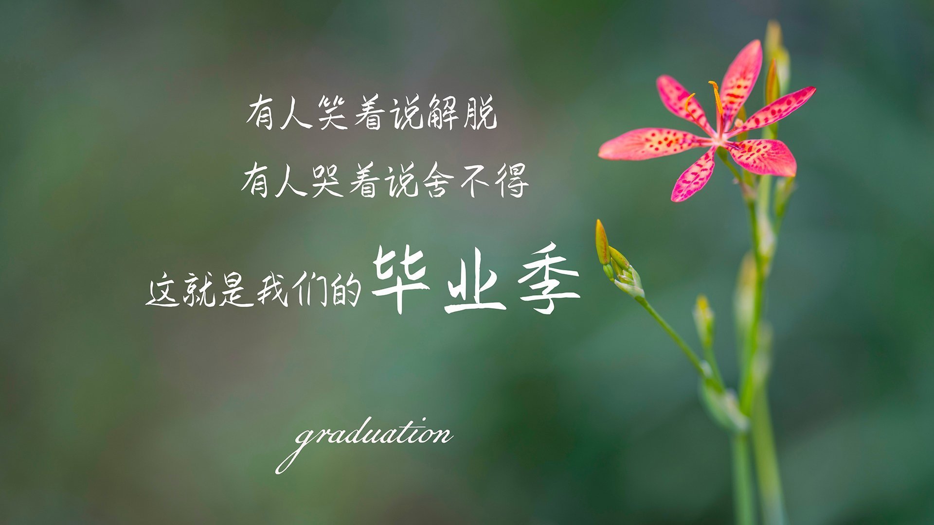 爱游戏大厅-2026世界杯C组关键战，德国绝境求生险胜喀麦隆，格列兹曼领袖气质引领全场压制